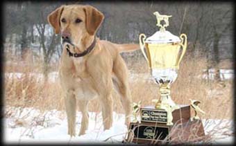 Duke placing 1st in the NBDCA Player's Championship Guthrie Center IA "Super Major" Top Gun Champion in December of 2006