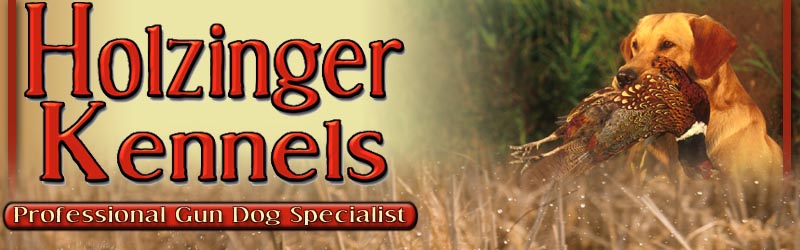 Holzinger Kennels - Professional Gun Dog Specialist